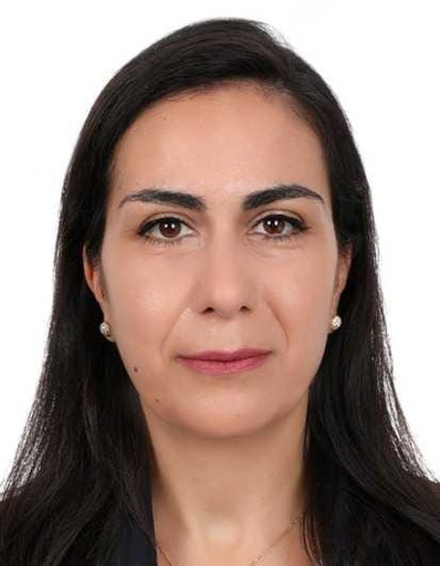 Sandy Adel Mujaes