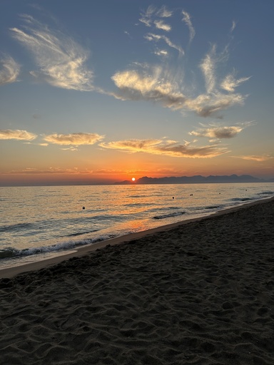 Zeina Joseph Mehanna-Martelloni